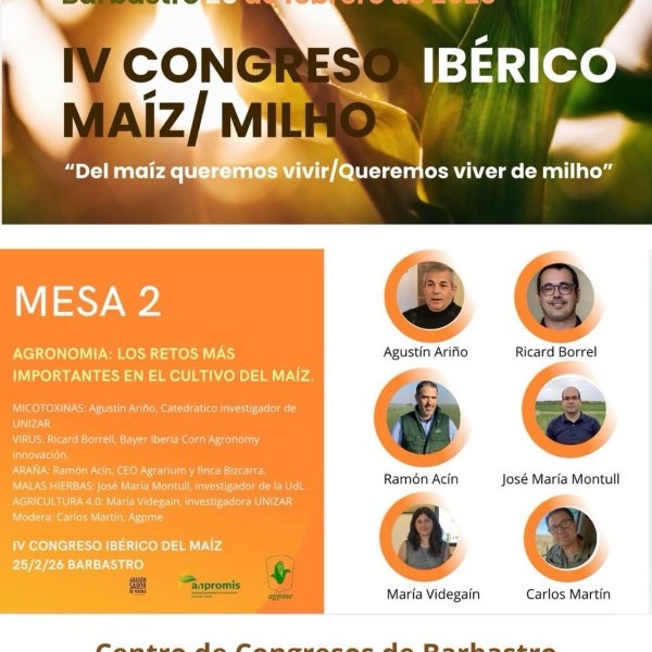 Agronomía: retos en la producción del maíz